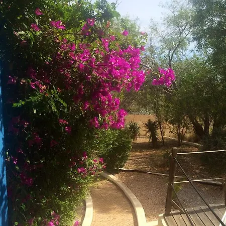 ホテル Quinta Do Atlantico