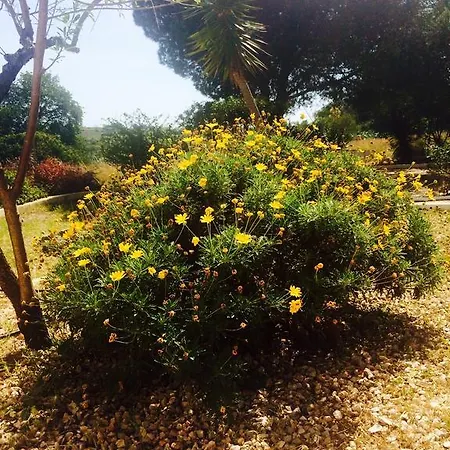 Quinta Do Atlantico 3* ファロ